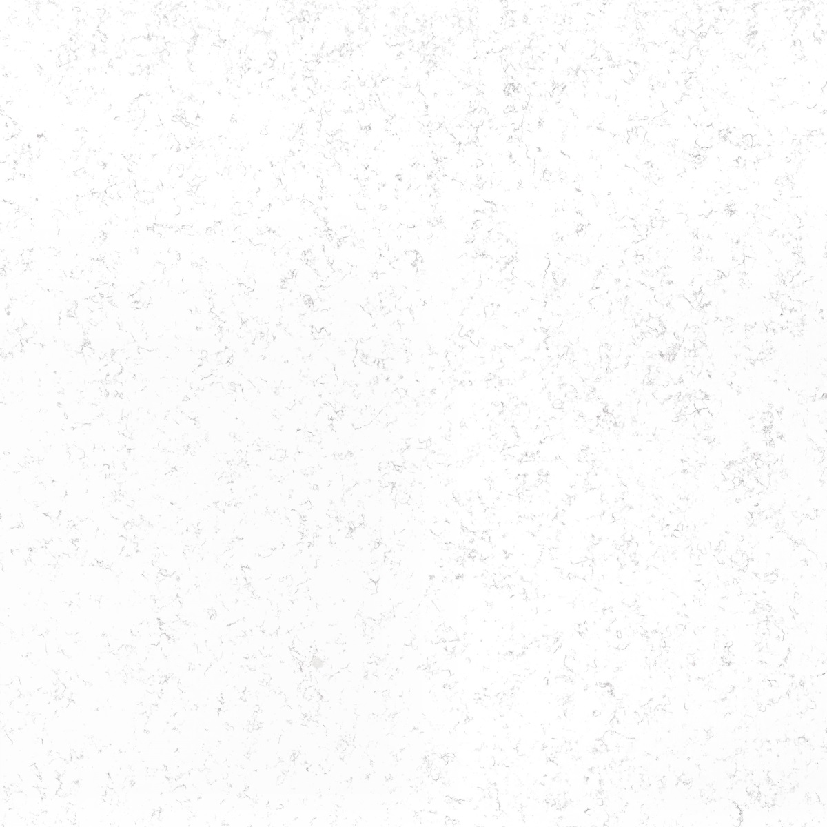 crystal-carrara_2582