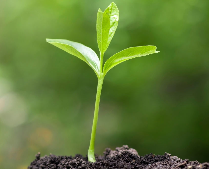 izmir-mutfak-tezgahi-hakkkimizda