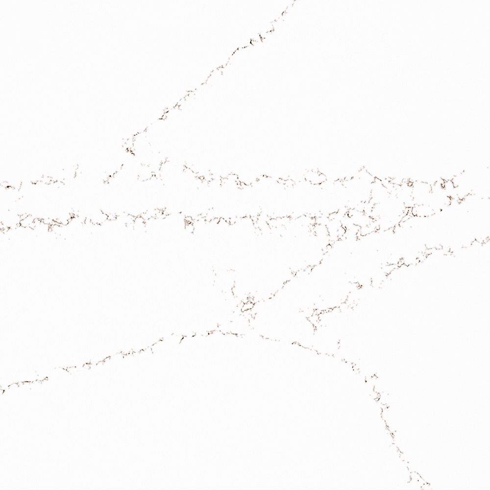 lucida_2590