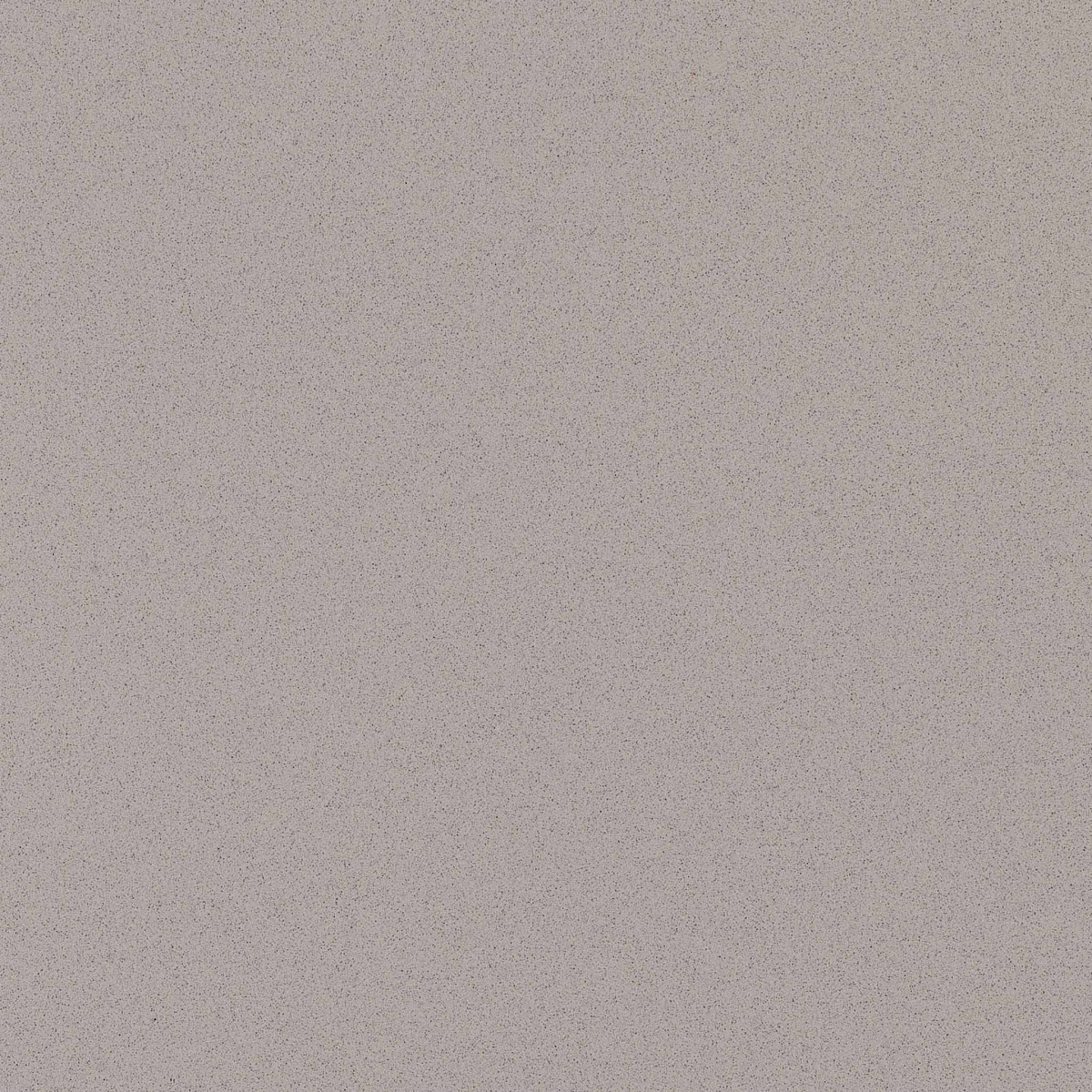 regina_2598